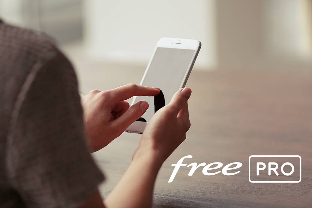 tarifs clients professionnels "free"